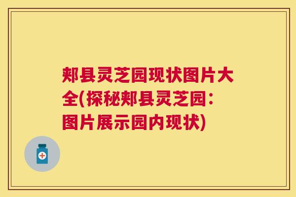 郏县灵芝园现状图片大全(探秘郏县灵芝园：图片展示园内现状)