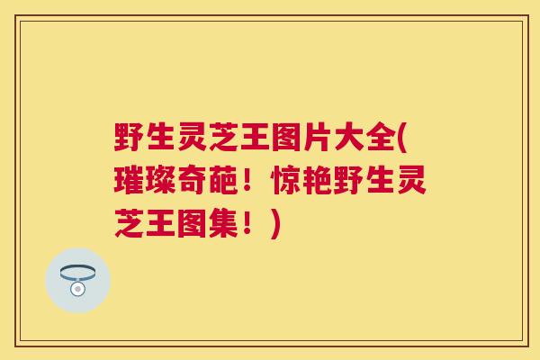 野生灵芝王图片大全(璀璨奇葩！惊艳野生灵芝王图集！)