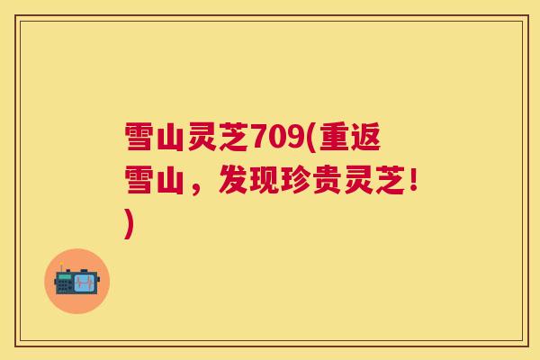 雪山灵芝709(重返雪山，发现珍贵灵芝！)