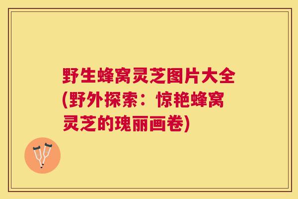野生蜂窝灵芝图片大全(野外探索：惊艳蜂窝灵芝的瑰丽画卷)