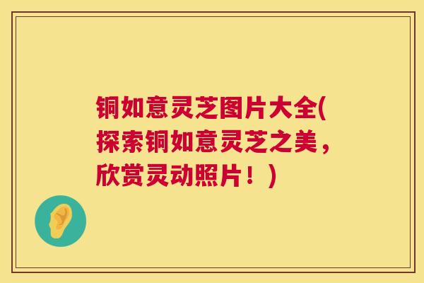 铜如意灵芝图片大全(探索铜如意灵芝之美,欣赏灵动照片!) 铜如意灵芝图片大全(探索铜如意灵芝之美,欣赏灵动照片!)