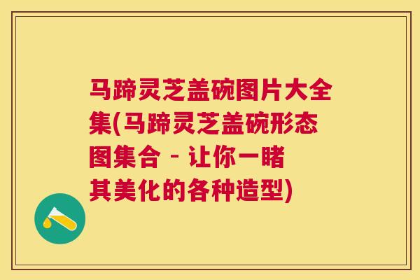马蹄灵芝盖碗图片大全集(马蹄灵芝盖碗形态图集合 - 让你一睹其美化的各种造型)