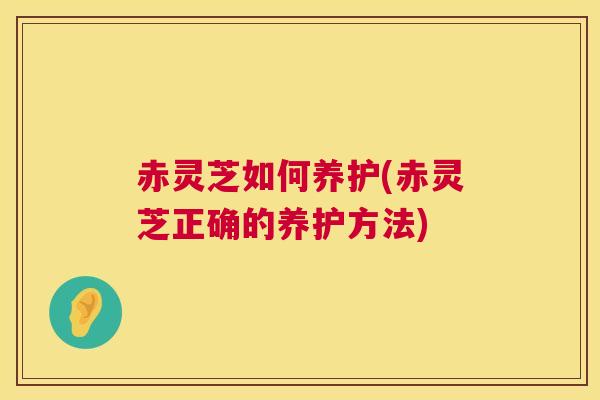 赤灵芝如何养护(赤灵芝正确的养护方法) 赤灵芝如何养护(赤灵芝正确的养护方法)