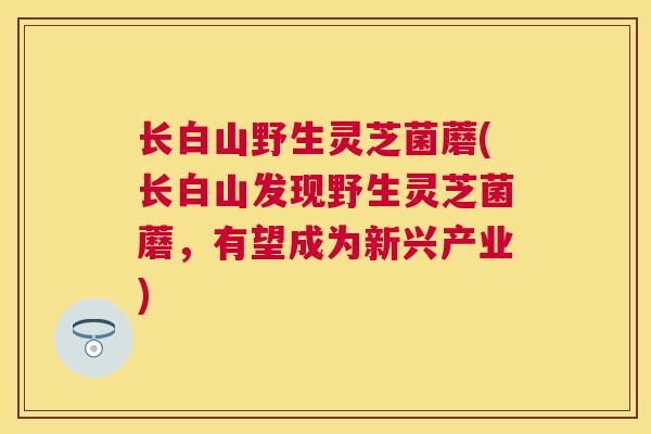 长白山野生灵芝菌蘑(长白山发现野生灵芝菌蘑,有望成为新兴产业) 长白山野生灵芝菌蘑(长白山发现野生灵芝菌蘑,有望成为新兴产业)