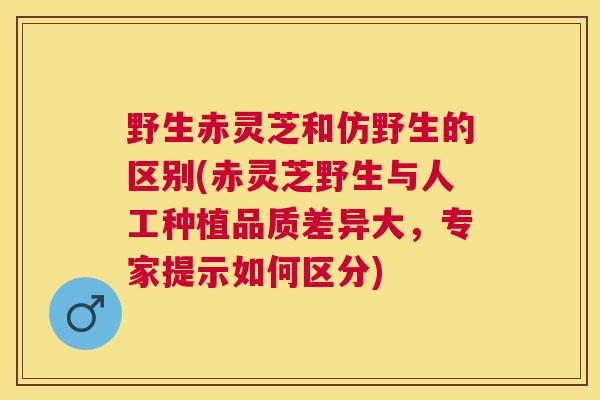 野生赤灵芝和仿野生的区别(赤灵芝野生与人工种植品质差异大,专家提示如何区分) 野生赤灵芝和仿野生的区别(赤灵芝野生与人工种植品质差异大,专家提示如何区分)