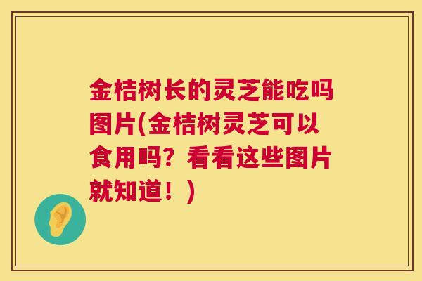 金桔树长的灵芝能吃吗图片(金桔树灵芝可以食用吗?看看这些图片就知道!) 金桔树长的灵芝能吃吗图片(金桔树灵芝可以食用吗?看看这些图片就知道!)