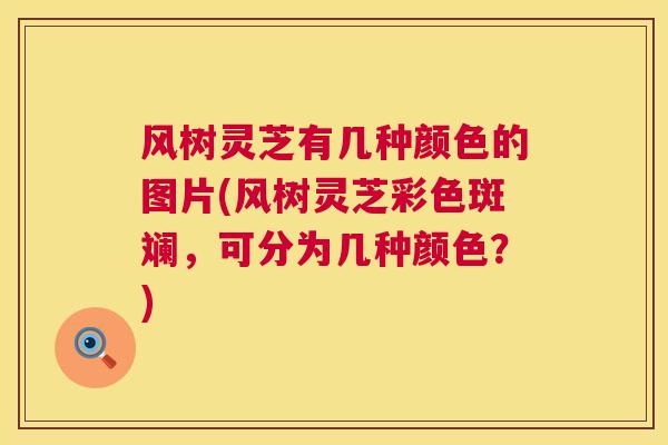风树灵芝有几种颜色的图片(风树灵芝彩色斑斓，可分为几种颜色？)
