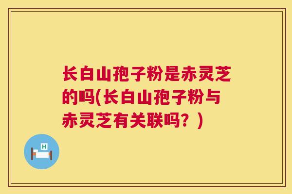 长白山孢子粉是赤灵芝的吗(长白山孢子粉与赤灵芝有关联吗？)