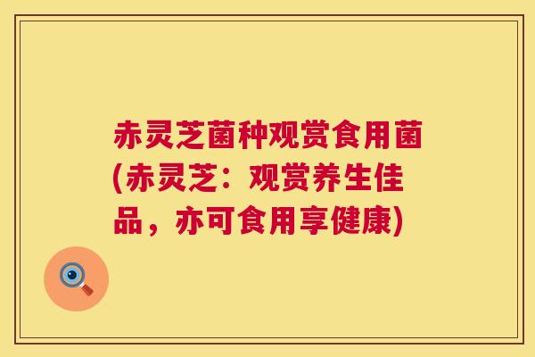 赤灵芝菌种观赏食用菌(赤灵芝：观赏养生佳品，亦可食用享健康)