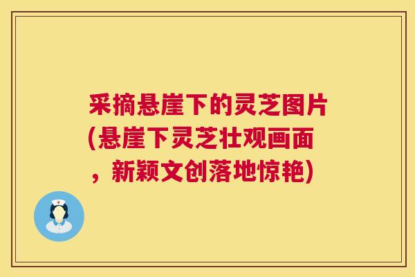 采摘悬崖下的灵芝图片(悬崖下灵芝壮观画面,新颖文创落地惊艳) 采摘悬崖下的灵芝图片(悬崖下灵芝壮观画面,新颖文创落地惊艳)