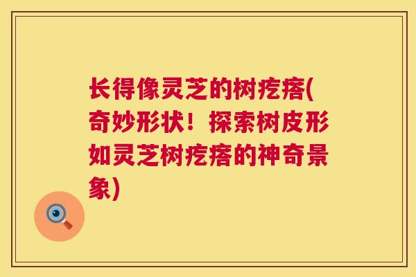 长得像灵芝的树疙瘩(奇妙形状!探索树皮形如灵芝树疙瘩的神奇景象) 长得像灵芝的树疙瘩(奇妙形状!探索树皮形如灵芝树疙瘩的神奇景象)