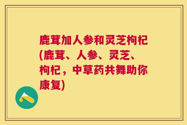 鹿茸加人参和灵芝枸杞(鹿茸、人参、灵芝、枸杞，中草药共舞助你康复)