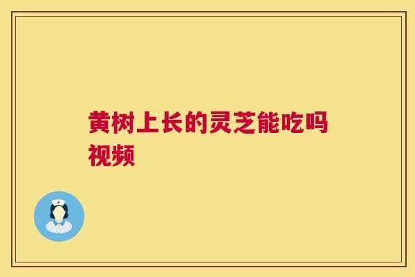 黄树上长的灵芝能吃吗视频 黄树上长的灵芝能吃吗视频