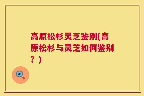 高原松杉灵芝鉴别(高原松杉与灵芝如何鉴别?) 高原松杉灵芝鉴别(高原松杉与灵芝如何鉴别?)