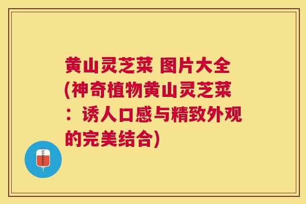 黄山灵芝菜 图片大全(神奇植物黄山灵芝菜：诱人口感与精致外观的完美结合)