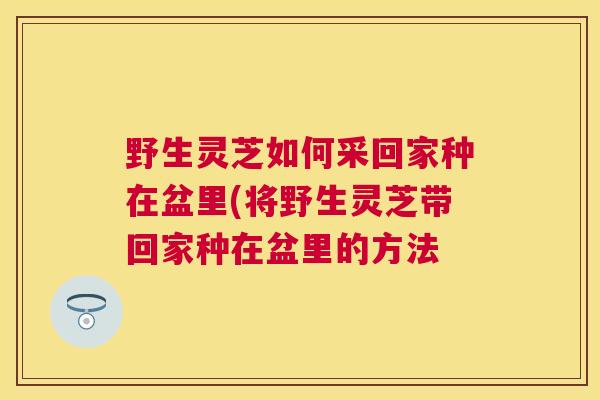 野生灵芝如何采回家种在盆里(将野生灵芝带回家种在盆里的方法 野生灵芝如何采回家种在盆里(将野生灵芝带回家种在盆里的方法