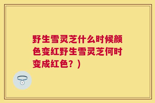 野生雪灵芝什么时候颜色变红野生雪灵芝何时变成红色?) 野生雪灵芝什么时候颜色变红野生雪灵芝何时变成红色?)
