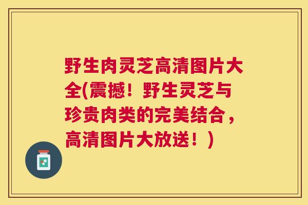 野生肉灵芝高清图片大全(震撼!野生灵芝与珍贵肉类的完美结合,高清图片大放送!) 野生肉灵芝高清图片大全(震撼!野生灵芝与珍贵肉类的完美结合,高清图片大放送!)