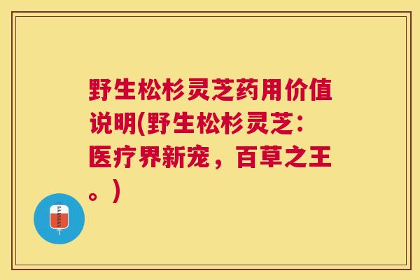 野生松杉灵芝药用价值说明(野生松杉灵芝:医疗界新宠,百草之王。) 野生松杉灵芝药用价值说明(野生松杉灵芝:医疗界新宠,百草之王。)
