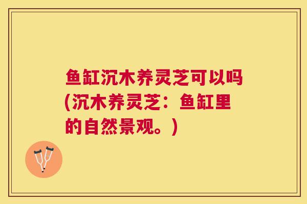鱼缸沉木养灵芝可以吗(沉木养灵芝:鱼缸里的自然景观。) 鱼缸沉木养灵芝可以吗(沉木养灵芝:鱼缸里的自然景观。)