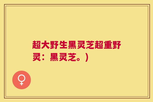 超大野生黑灵芝超重野灵：黑灵芝。)