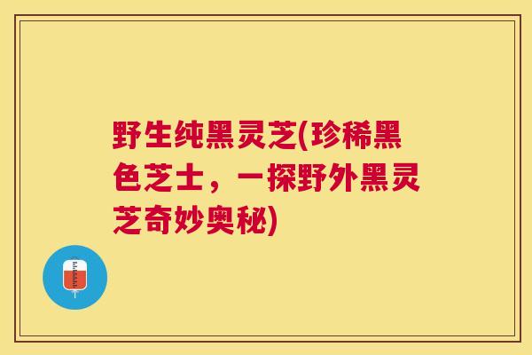 野生纯黑灵芝(珍稀黑色芝士,一探野外黑灵芝奇妙奥秘) 野生纯黑灵芝(珍稀黑色芝士,一探野外黑灵芝奇妙奥秘)