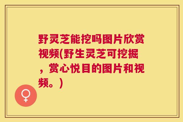 野灵芝能挖吗图片欣赏视频(野生灵芝可挖掘,赏心悦目的图片和视频。) 野灵芝能挖吗图片欣赏视频(野生灵芝可挖掘,赏心悦目的图片和视频。)