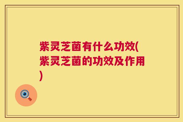 紫灵芝菌有什么功效(紫灵芝菌的功效及作用) 紫灵芝菌有什么功效(紫灵芝菌的功效及作用)