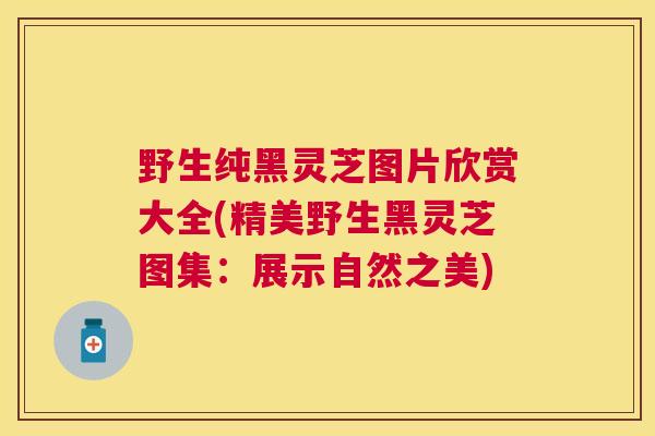 野生纯黑灵芝图片欣赏大全(精美野生黑灵芝图集：展示自然之美)