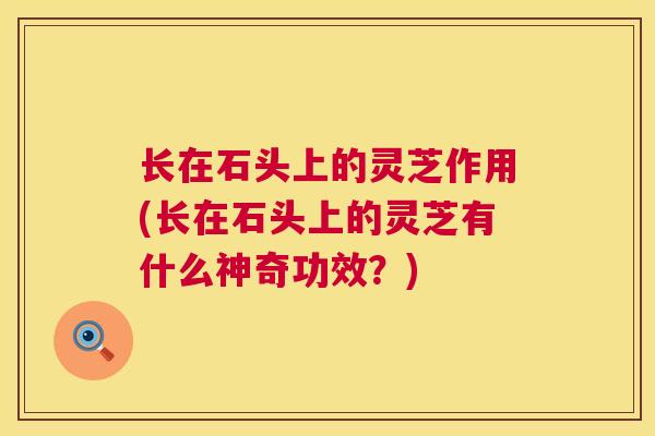 长在石头上的灵芝作用(长在石头上的灵芝有什么神奇功效?) 长在石头上的灵芝作用(长在石头上的灵芝有什么神奇功效?)