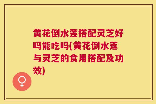 黄花倒水莲搭配灵芝好吗能吃吗(黄花倒水莲与灵芝的食用搭配及功效) 黄花倒水莲搭配灵芝好吗能吃吗(黄花倒水莲与灵芝的食用搭配及功效)
