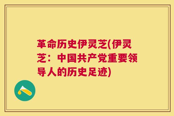 革命历史伊灵芝(伊灵芝:中国共产党重要领导人的历史足迹) 革命历史伊灵芝(伊灵芝:中国共产党重要领导人的历史足迹)