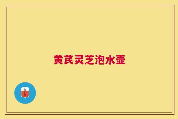 黄芪灵芝泡水壶