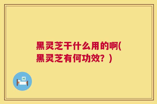 黑灵芝干什么用的啊(黑灵芝有何功效？)