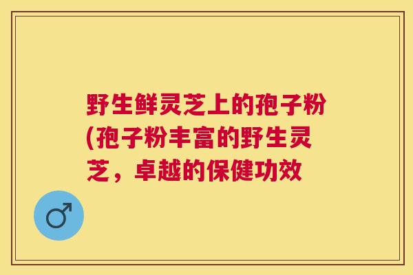 野生鲜灵芝上的孢子粉(孢子粉丰富的野生灵芝,卓越的保健功效 野生鲜灵芝上的孢子粉(孢子粉丰富的野生灵芝,卓越的保健功效