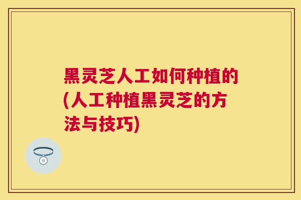 黑灵芝人工如何种植的(人工种植黑灵芝的方法与技巧) 黑灵芝人工如何种植的(人工种植黑灵芝的方法与技巧)
