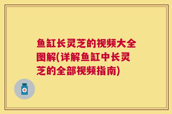 鱼缸长灵芝的视频大全图解(详解鱼缸中长灵芝的全部视频指南)