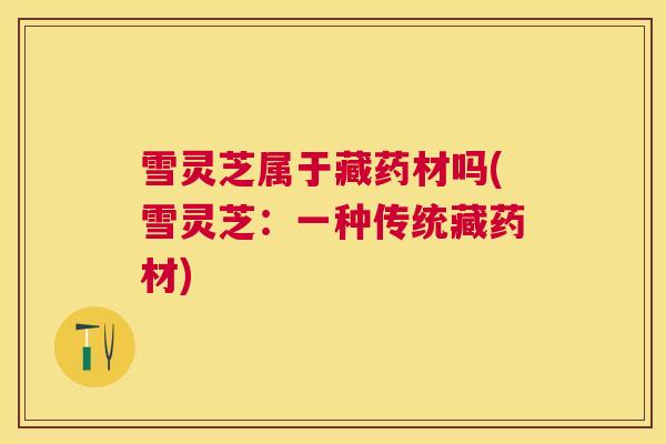 雪灵芝属于藏药材吗(雪灵芝：一种传统藏药材)