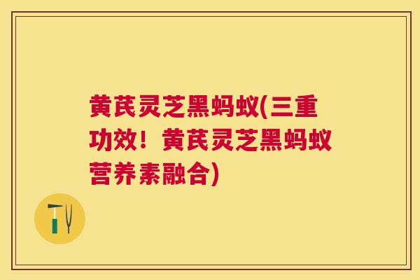 黄芪灵芝黑蚂蚁(三重功效!黄芪灵芝黑蚂蚁营养素融合) 黄芪灵芝黑蚂蚁(三重功效!黄芪灵芝黑蚂蚁营养素融合)