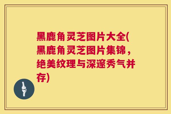 黑鹿角灵芝图片大全(黑鹿角灵芝图片集锦，绝美纹理与深邃秀气并存)