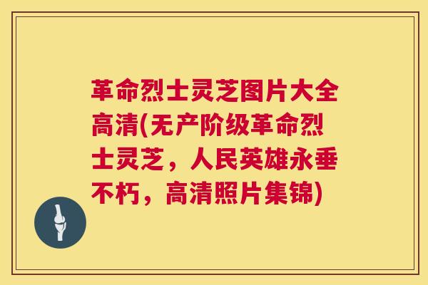 革命烈士灵芝图片大全高清(无产阶级革命烈士灵芝，人民英雄永垂不朽，高清照片集锦)