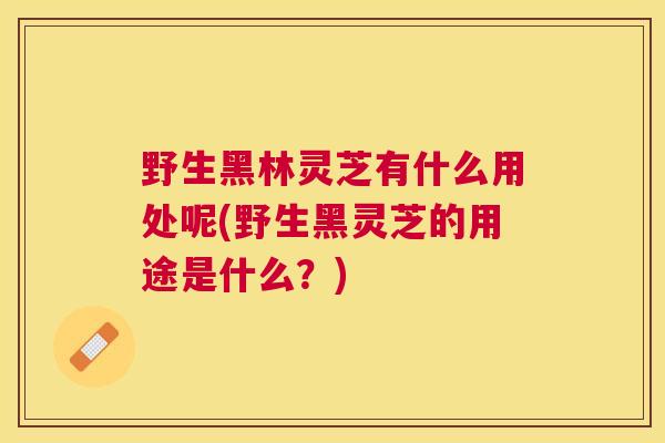 野生黑林灵芝有什么用处呢(野生黑灵芝的用途是什么？)