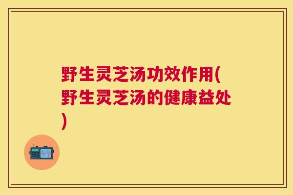 野生灵芝汤功效作用(野生灵芝汤的健康益处) 野生灵芝汤功效作用(野生灵芝汤的健康益处)