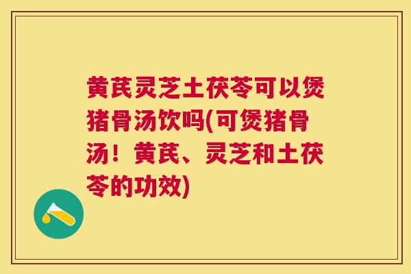 黄芪灵芝土茯苓可以煲猪骨汤饮吗(可煲猪骨汤！黄芪、灵芝和土茯苓的功效)