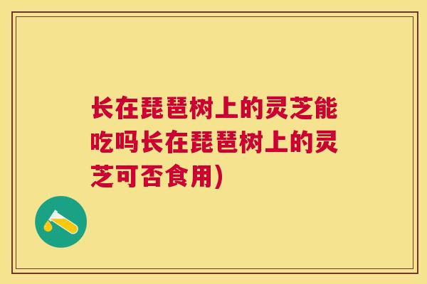 长在琵琶树上的灵芝能吃吗长在琵琶树上的灵芝可否食用) 长在琵琶树上的灵芝能吃吗长在琵琶树上的灵芝可否食用)