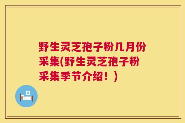 野生灵芝孢子粉几月份采集(野生灵芝孢子粉采集季节介绍!) 野生灵芝孢子粉几月份采集(野生灵芝孢子粉采集季节介绍!)