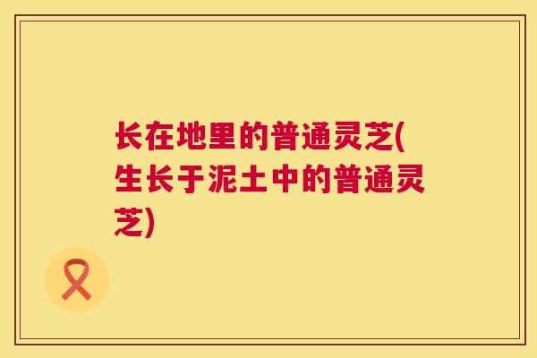 长在地里的普通灵芝(生长于泥土中的普通灵芝) 长在地里的普通灵芝(生长于泥土中的普通灵芝)