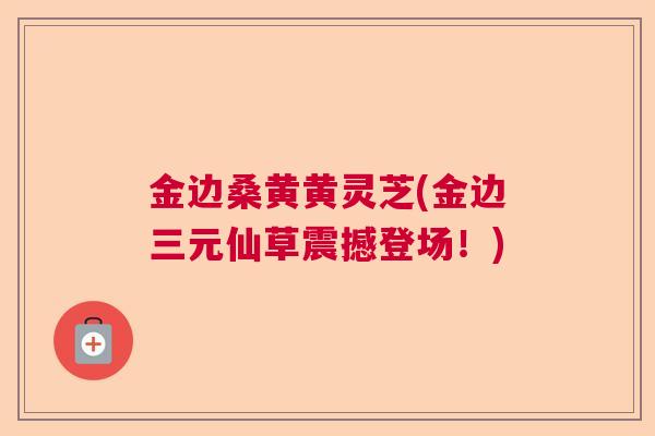 金边桑黄黄灵芝(金边三元仙草震撼登场！)