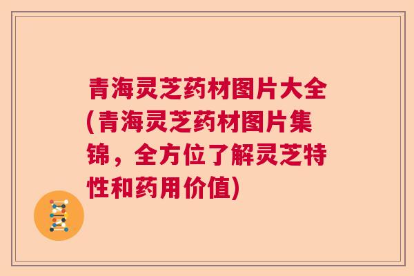 青海灵芝药材图片大全(青海灵芝药材图片集锦，全方位了解灵芝特性和药用价值)