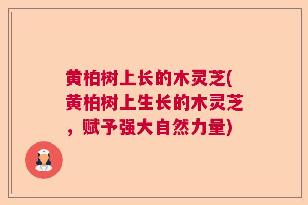 黄柏树上长的木灵芝(黄柏树上生长的木灵芝,赋予强大自然力量) 黄柏树上长的木灵芝(黄柏树上生长的木灵芝,赋予强大自然力量)
